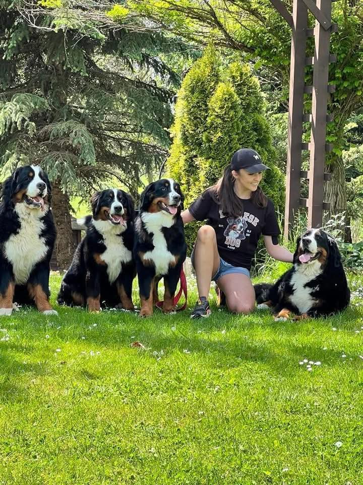 502617212 1483415255972747 2989316012144155872 n